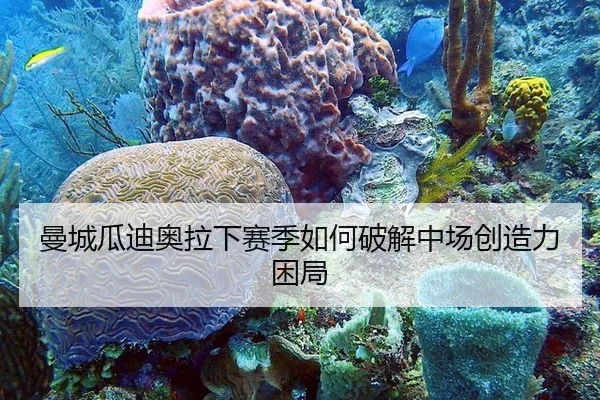 曼城瓜迪奥拉下赛季如何破解中场创造力困局